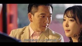 风雨澳门全集在线观看,全景再现澳门百年风云变幻  第2张